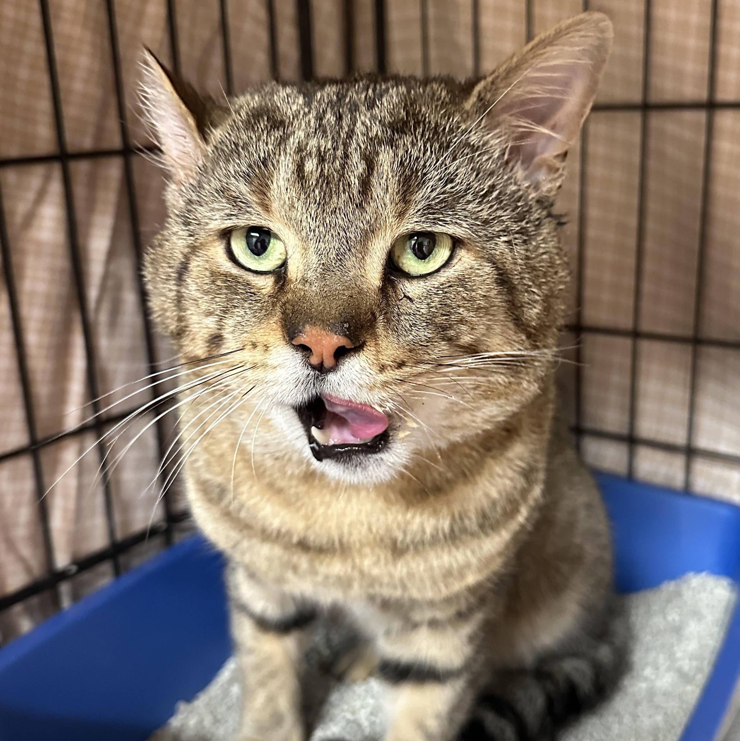 Otis Fiv+ Handsome Boy