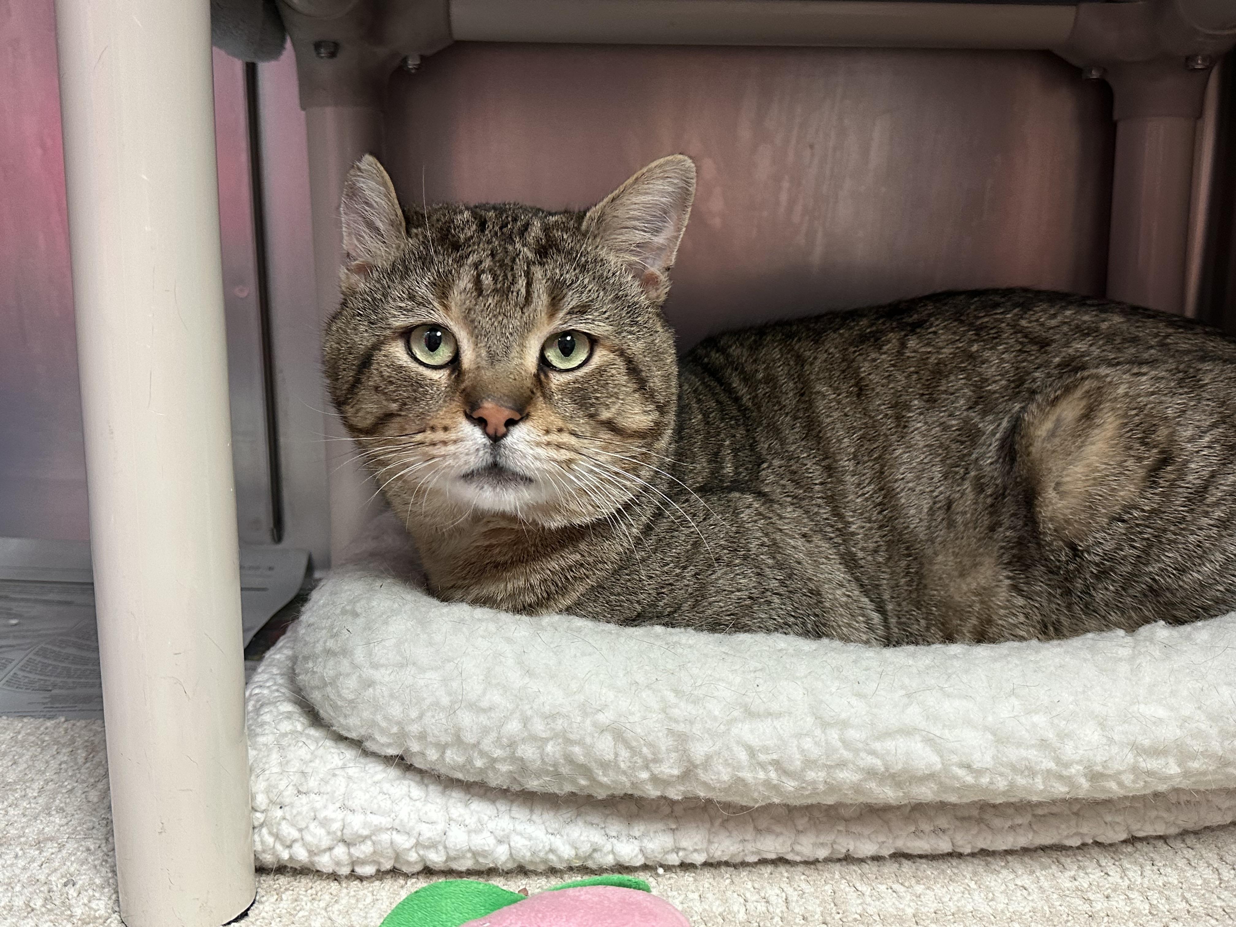 Otis Fiv+ Handsome Boy