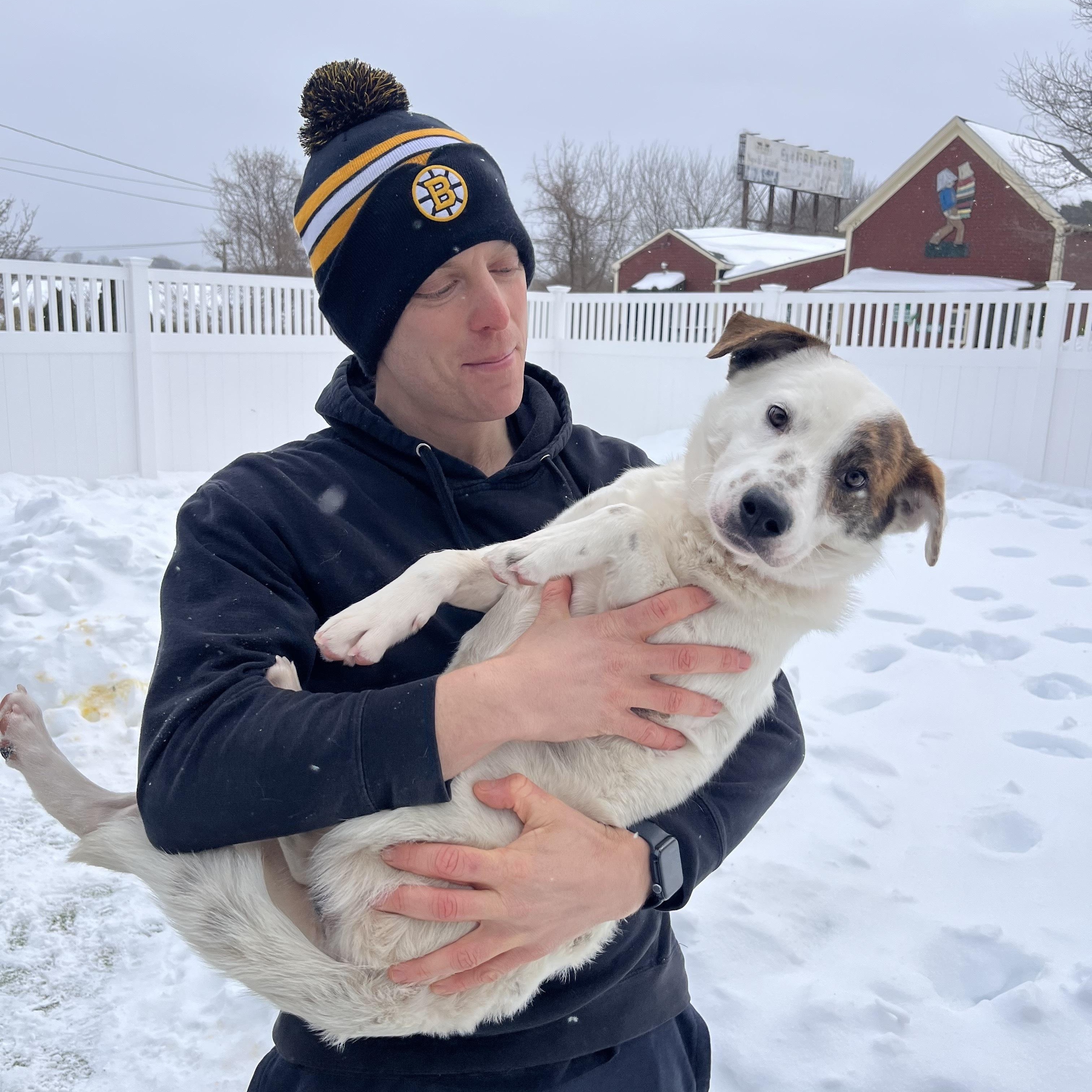JC Penny, a ADOPTABLE Mixed Breed in New Bedford, MA image 3/3
