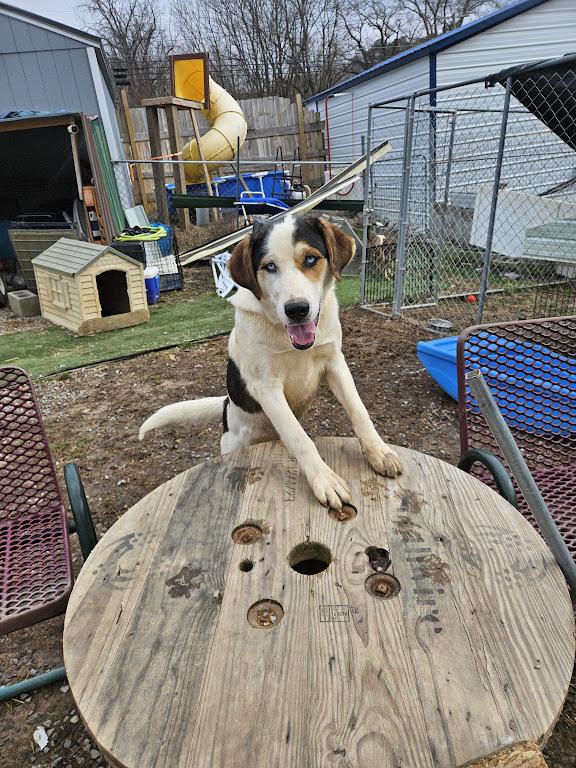 Tony — thumbnail 2