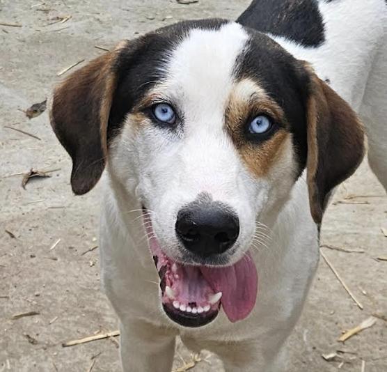 Tony — thumbnail 4