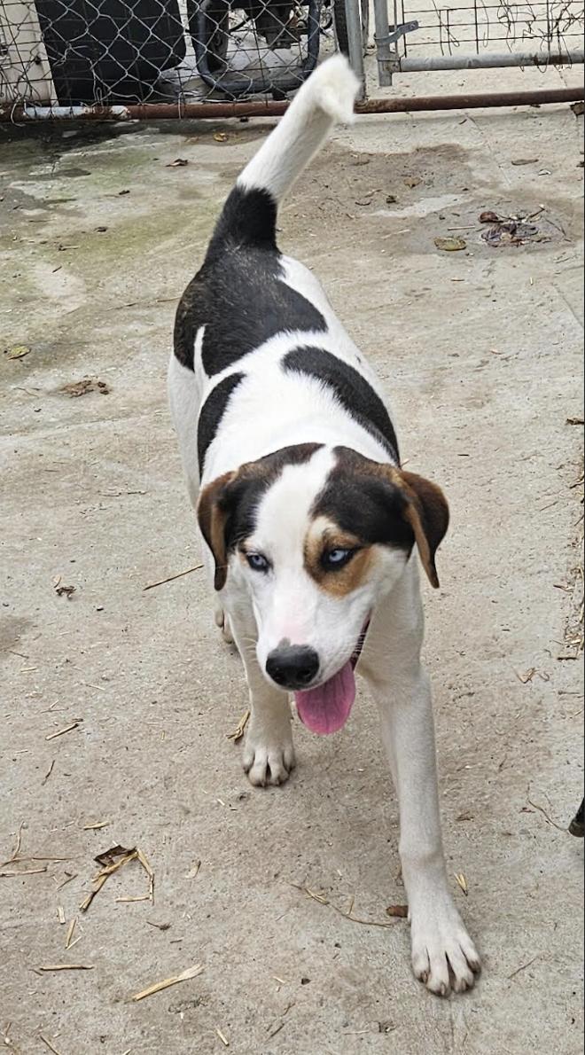 Tony — thumbnail 5