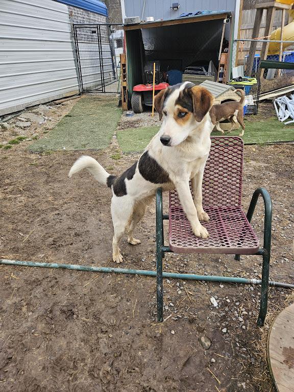 Tony — thumbnail 6