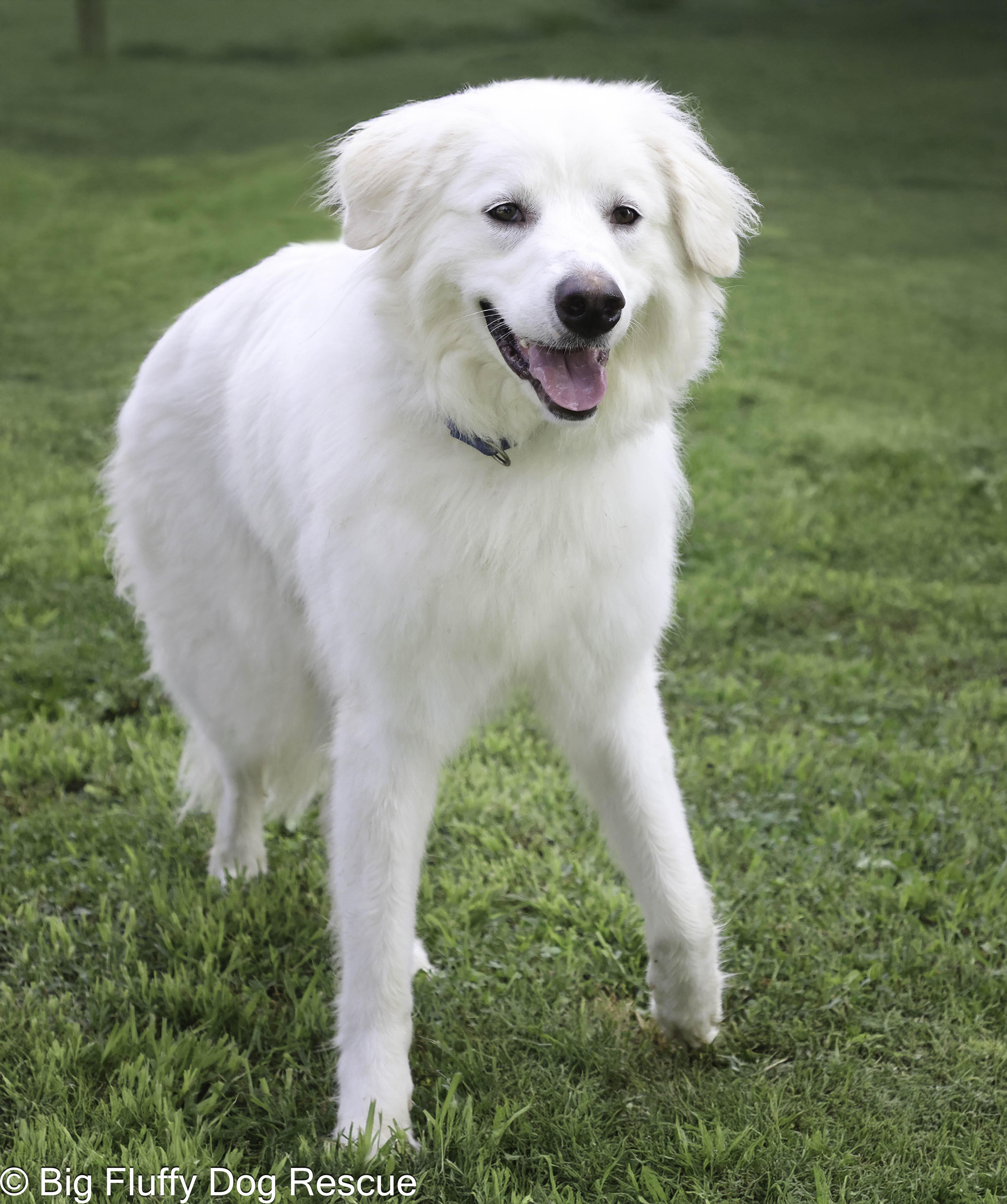 Folly — thumbnail 3