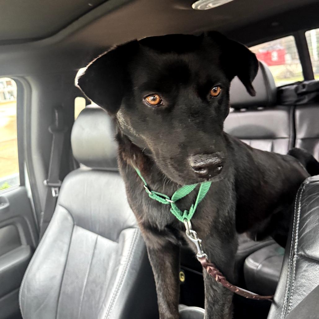 Taki — thumbnail 2