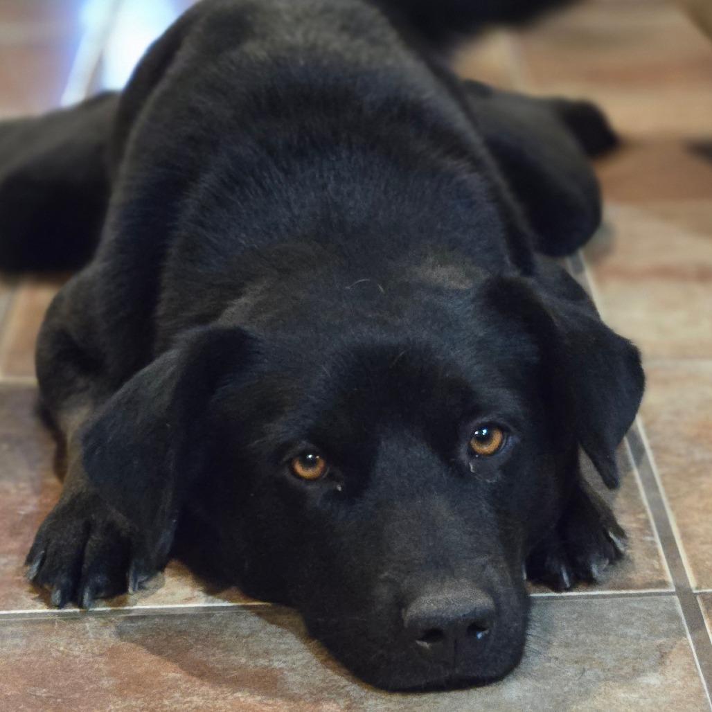 Taki — thumbnail 3