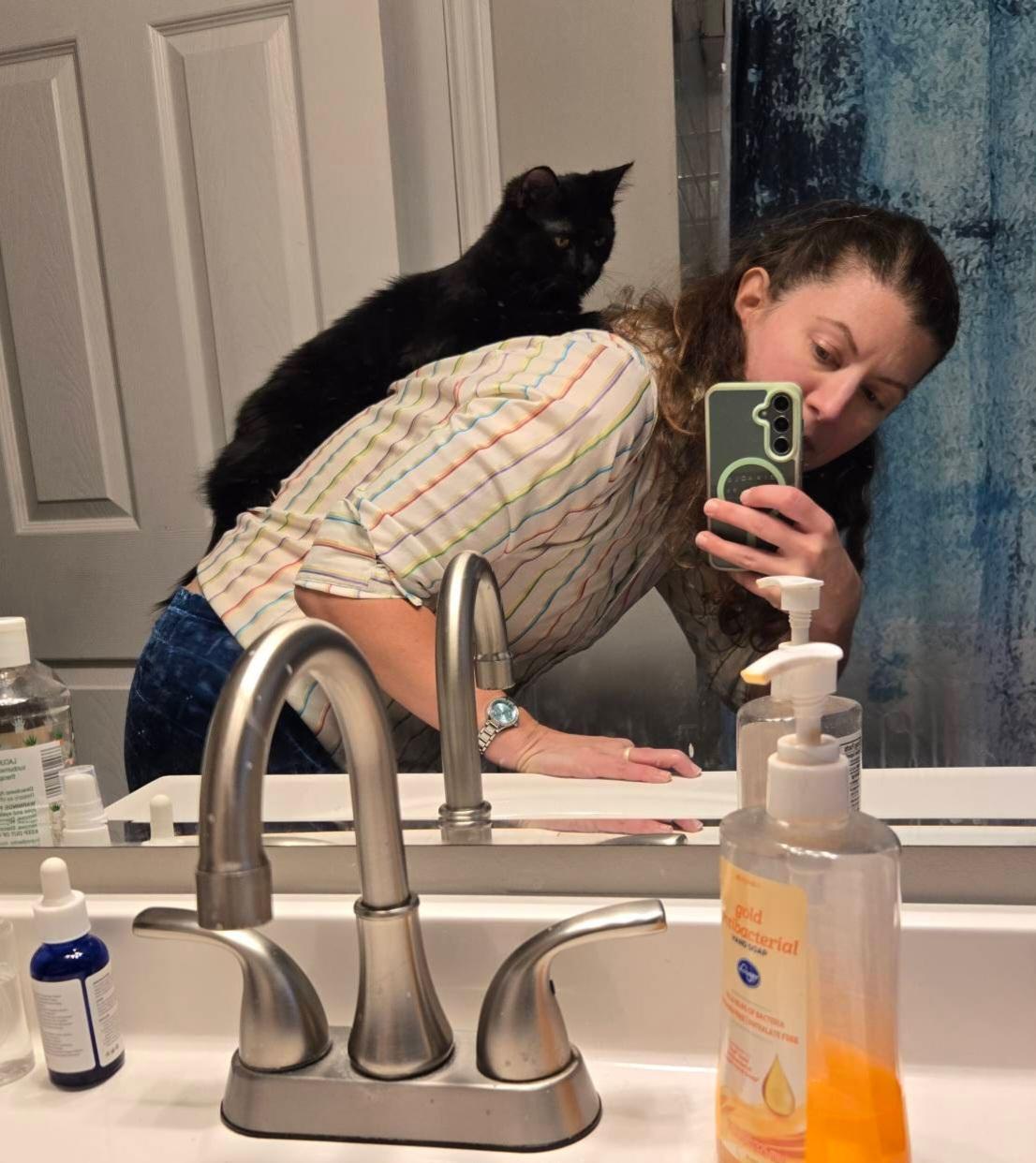 Enlarge PePe, an adopted Domestic Medium Hair in Nashville, TN image 6/6