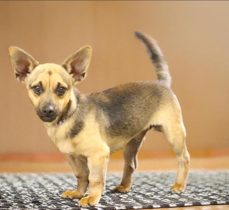 Tony In Tx thumbnail 2