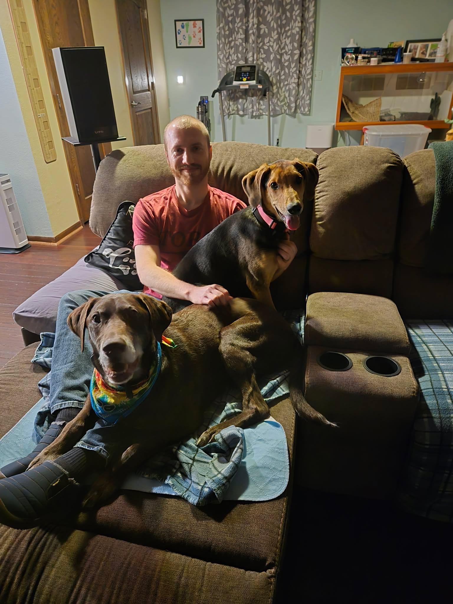 Artemis, a Adopted mixed breed in TULSA, OK image 3/6
