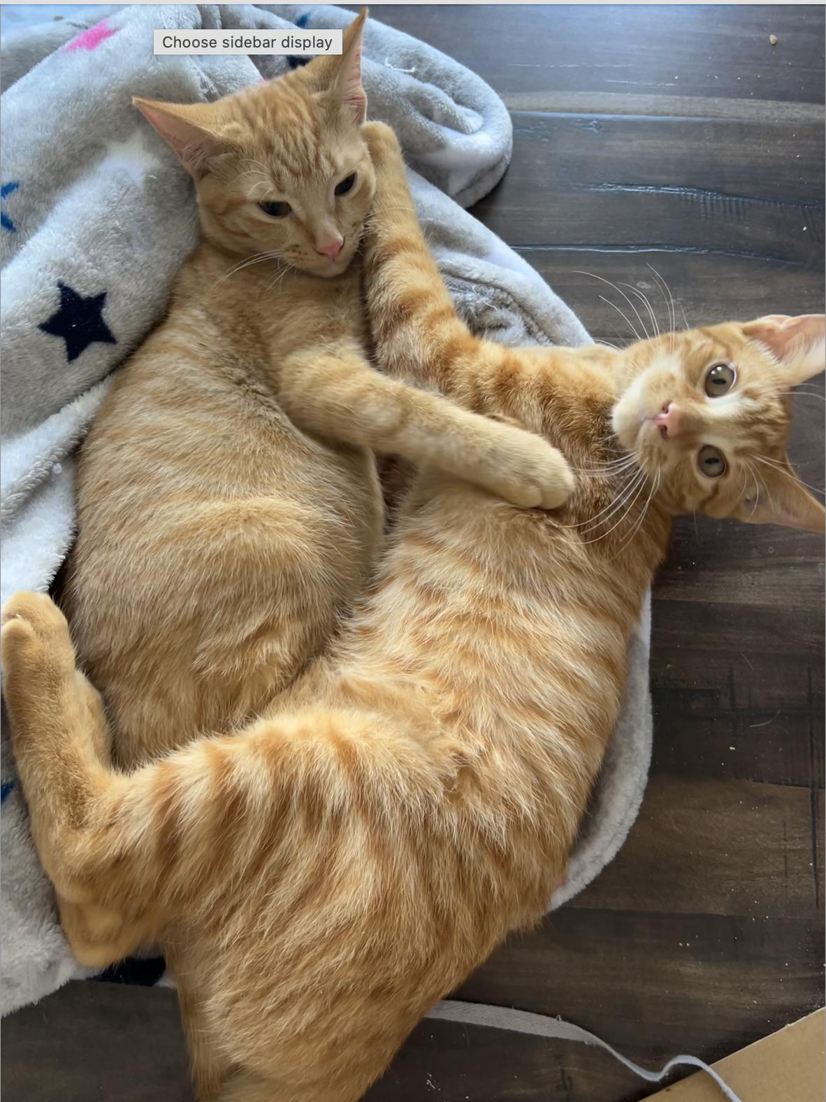 Fry + Spud (Bonded Pair)