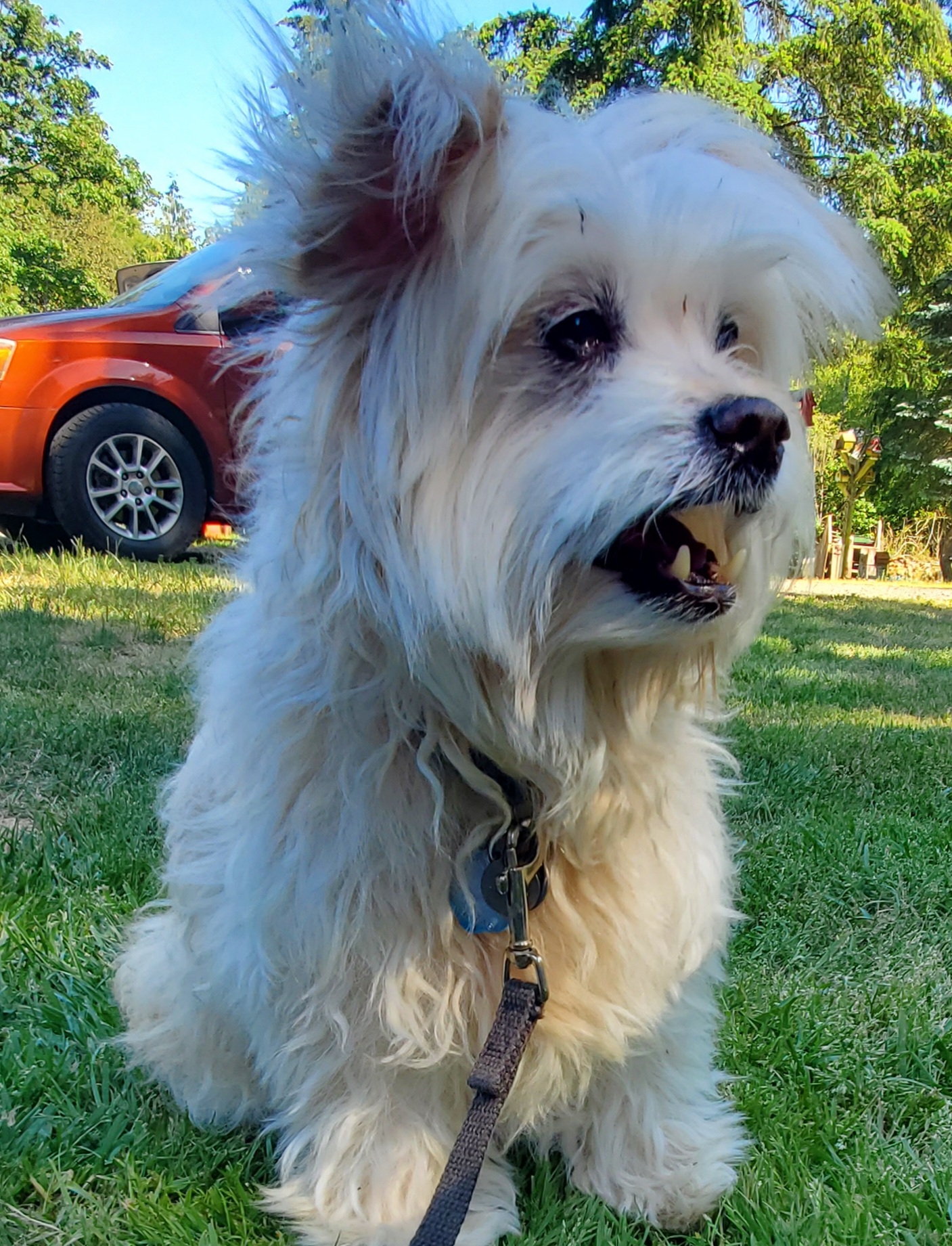 Olivia (Olli) Deaf