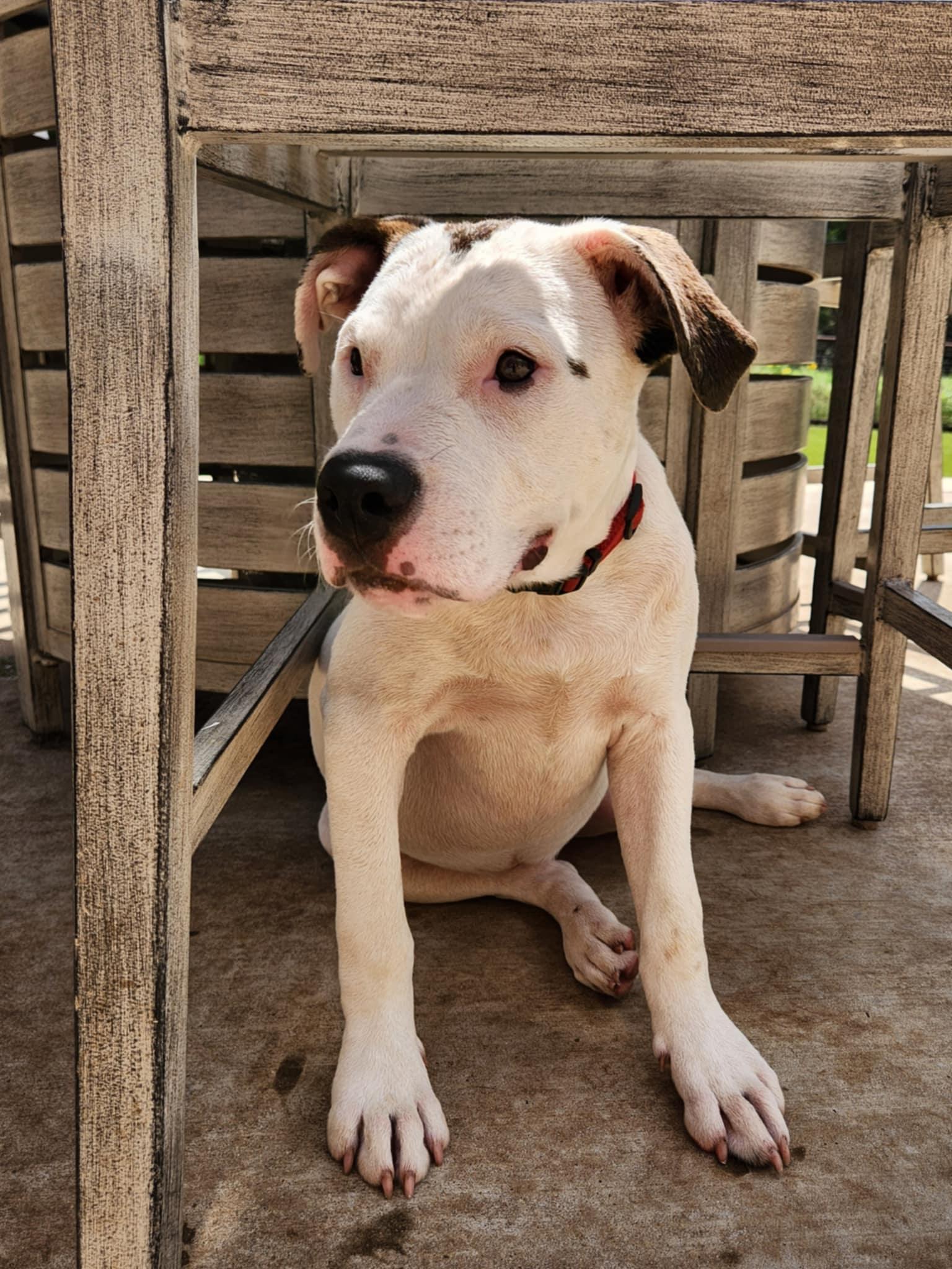 Oakley