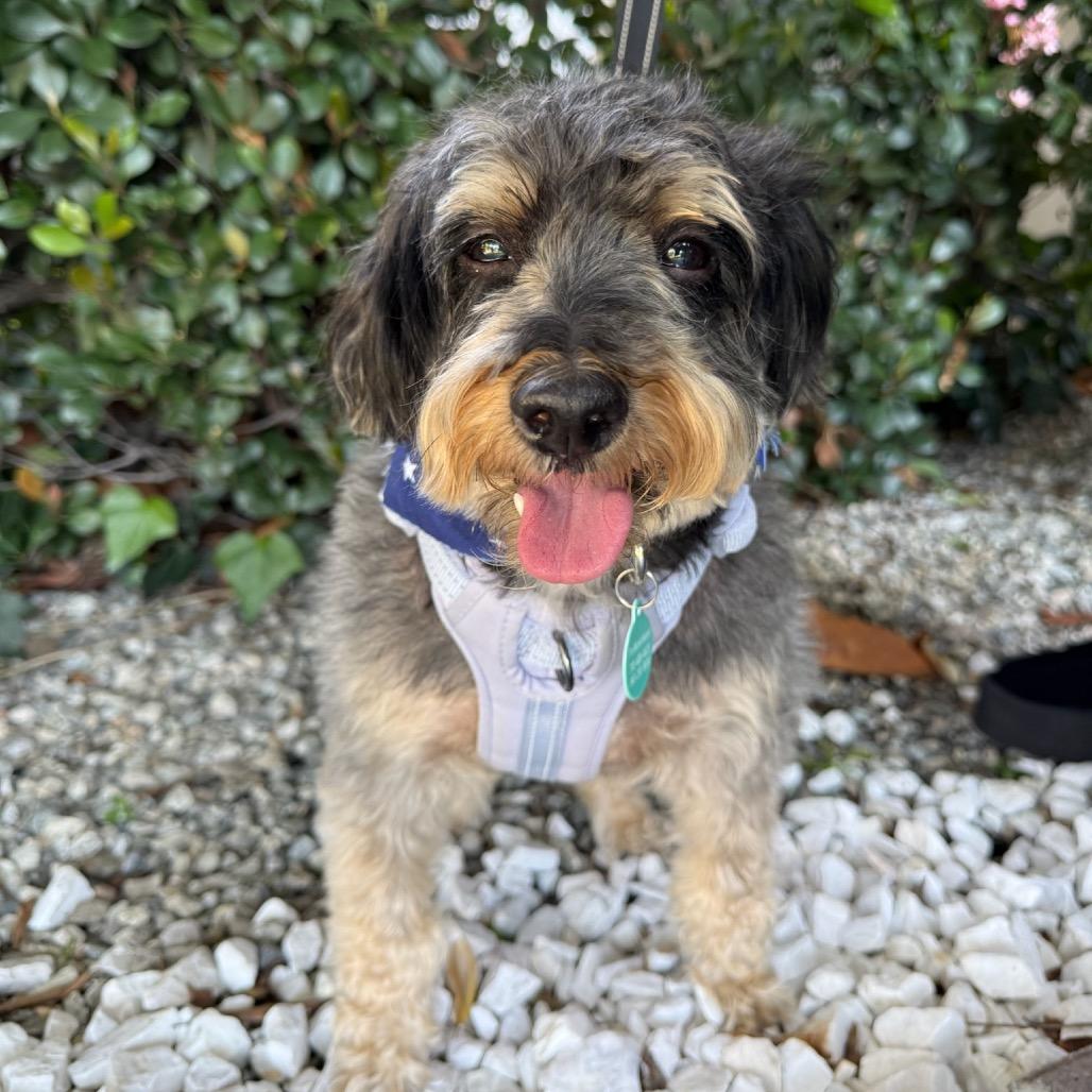 Frankie James thumbnail 2