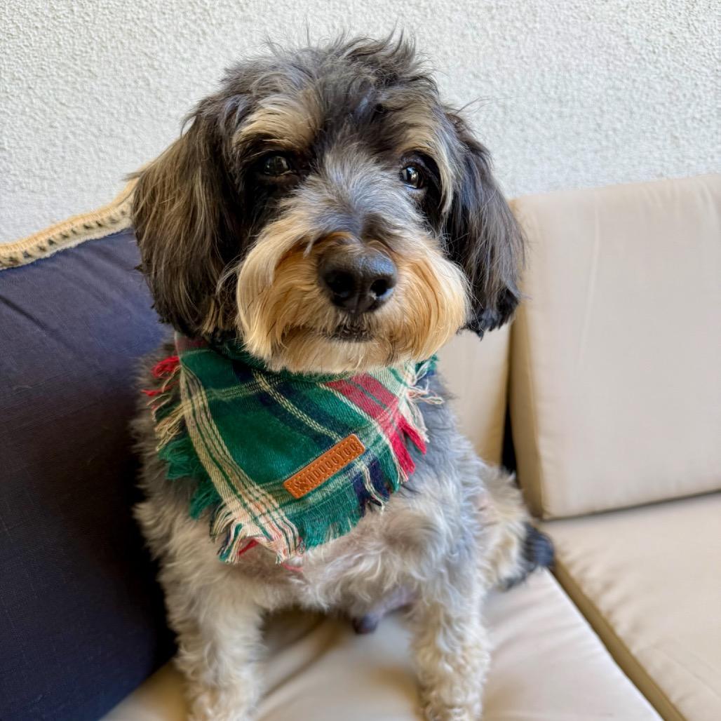 Frankie James thumbnail 4