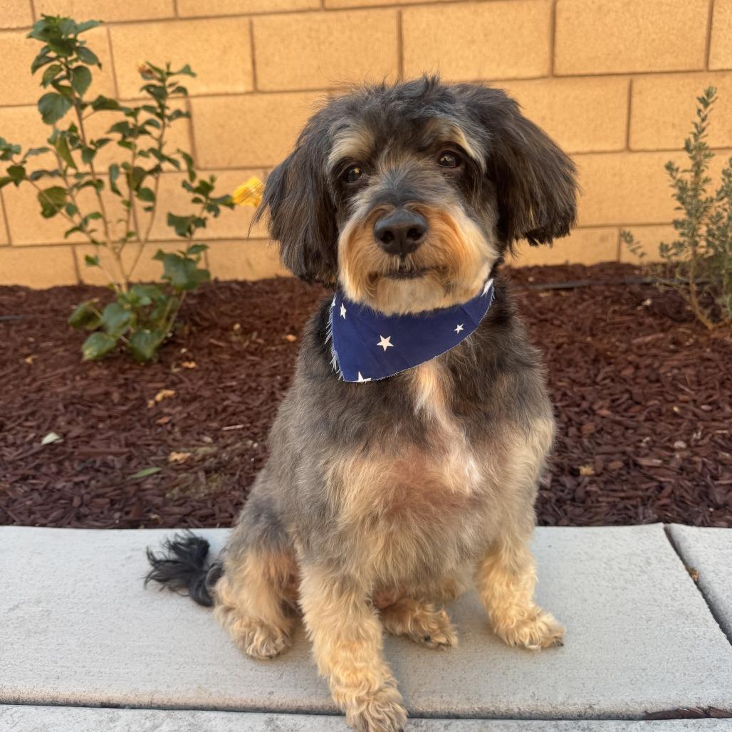 Frankie James thumbnail 5