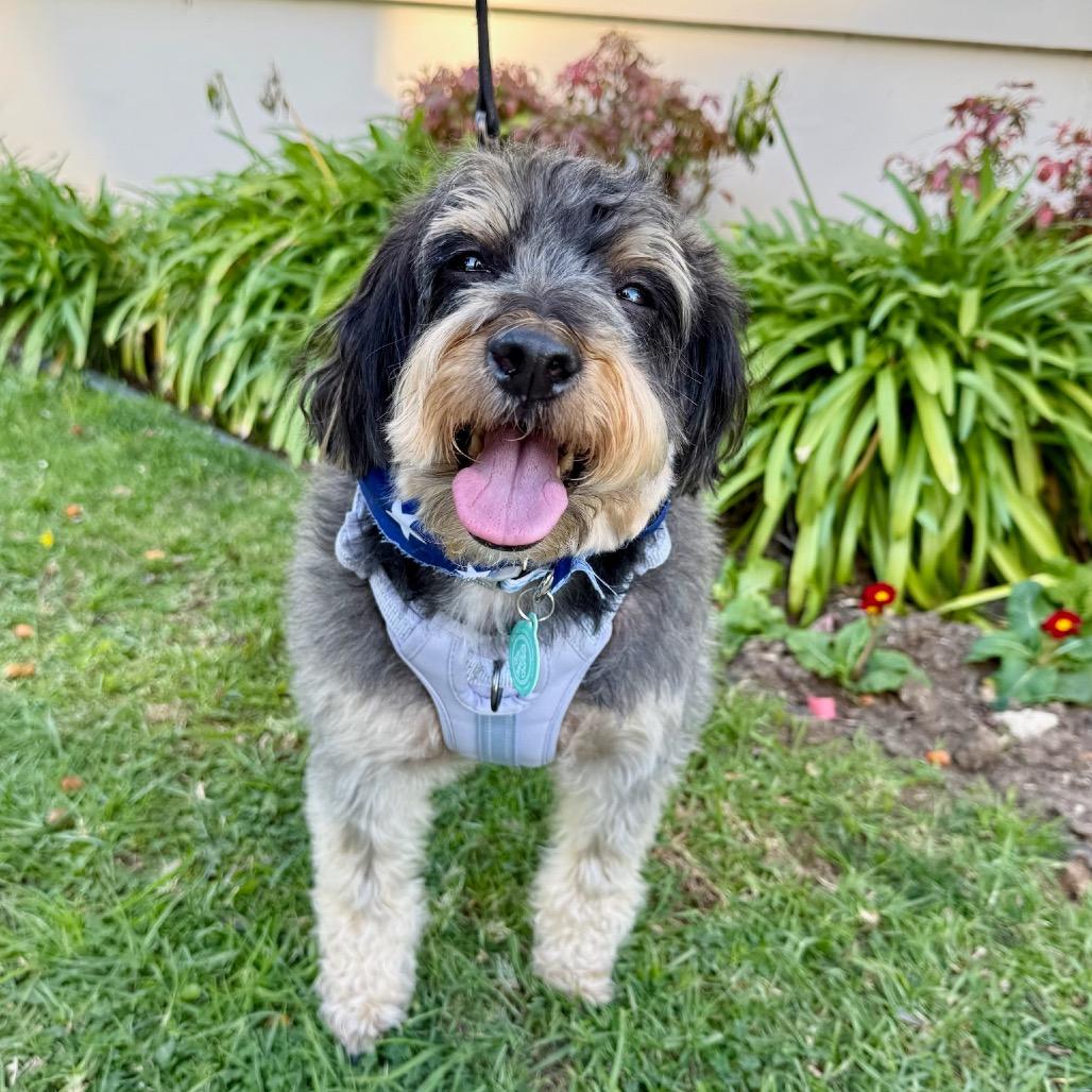 Frankie James thumbnail 6