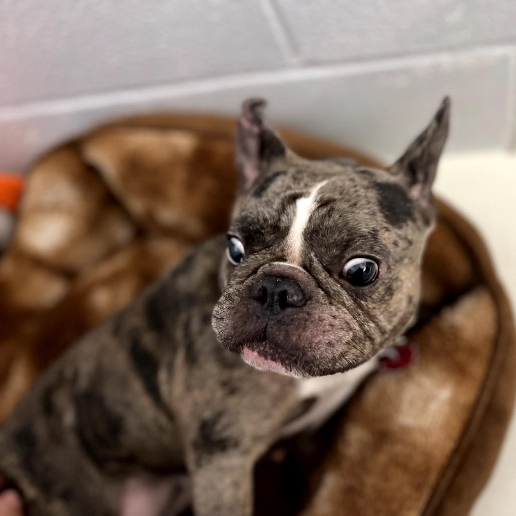 Izzy Belle thumbnail 3