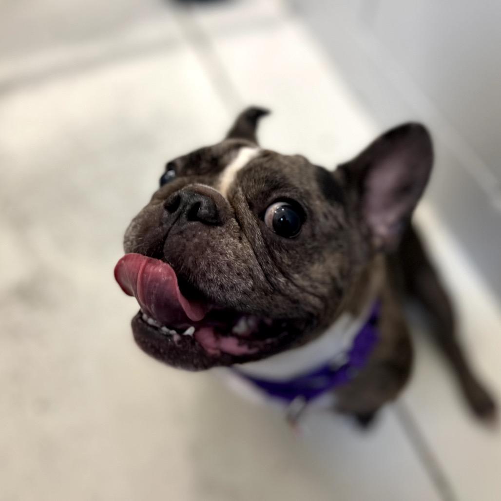 Izzy Belle thumbnail 4