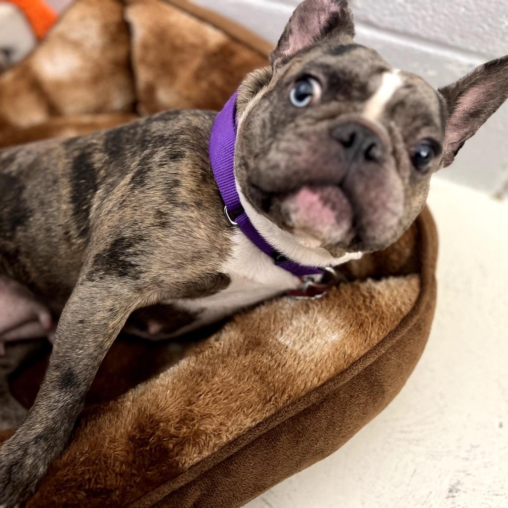 Izzy Belle thumbnail 5