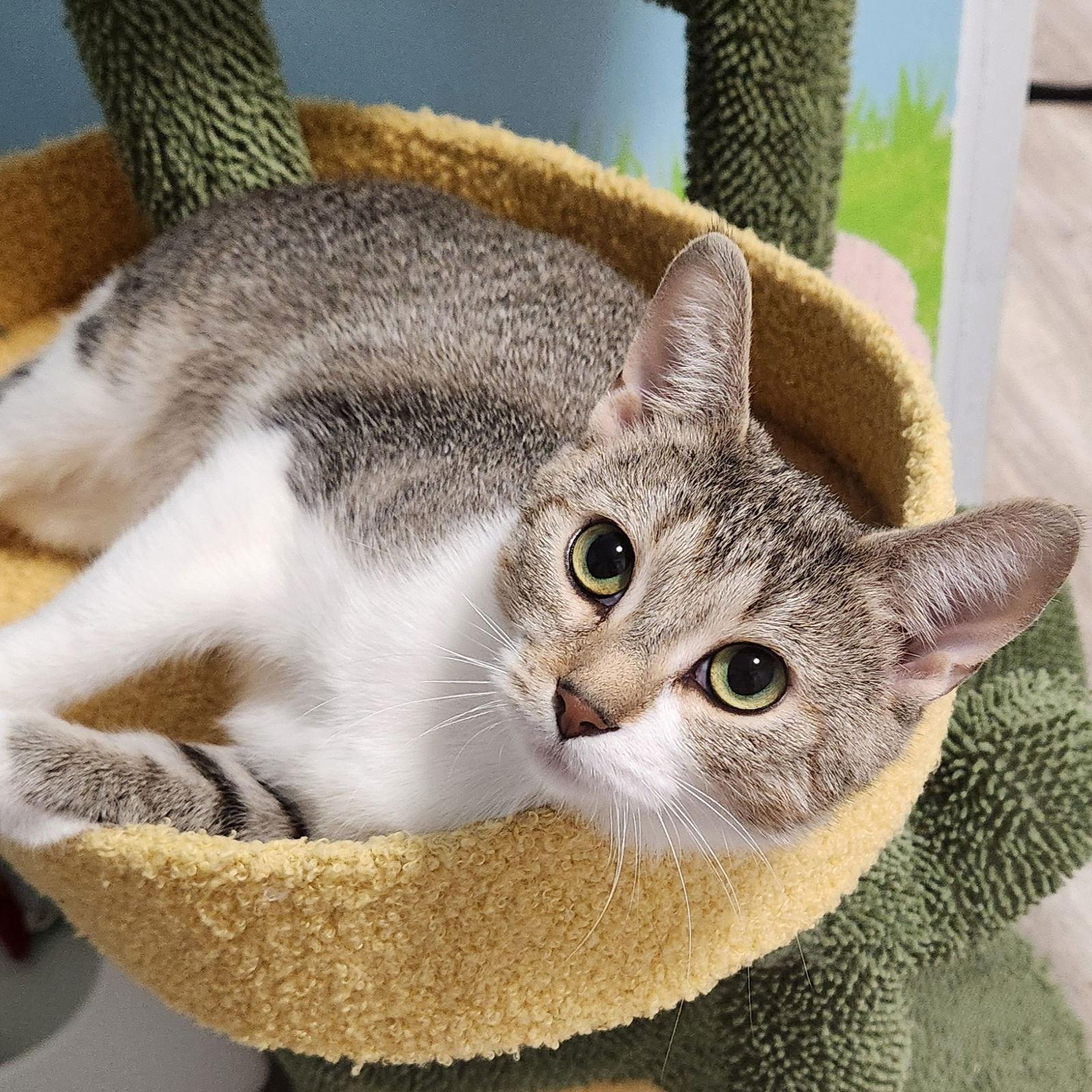 Eloise — thumbnail 2