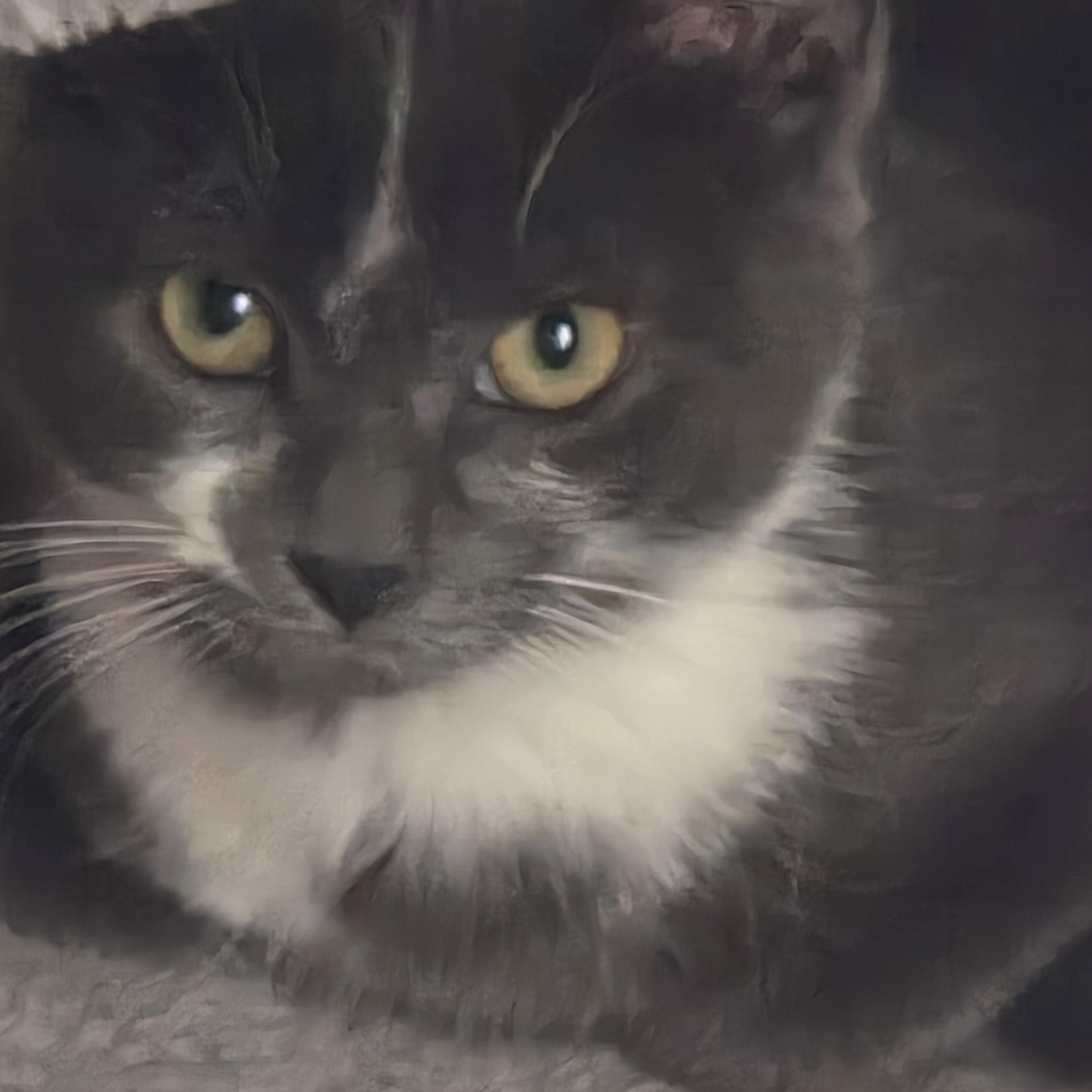 Enlarge Daisy, an adoptable Domestic Short Hair in Sterling Heights, MI image 4/5