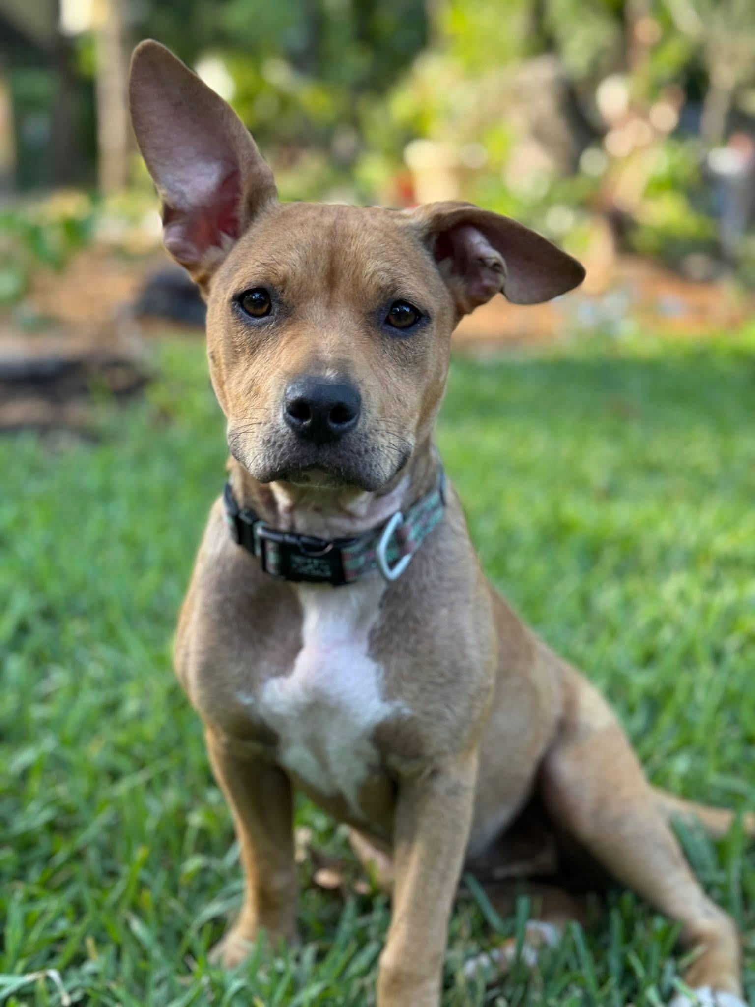 Esther