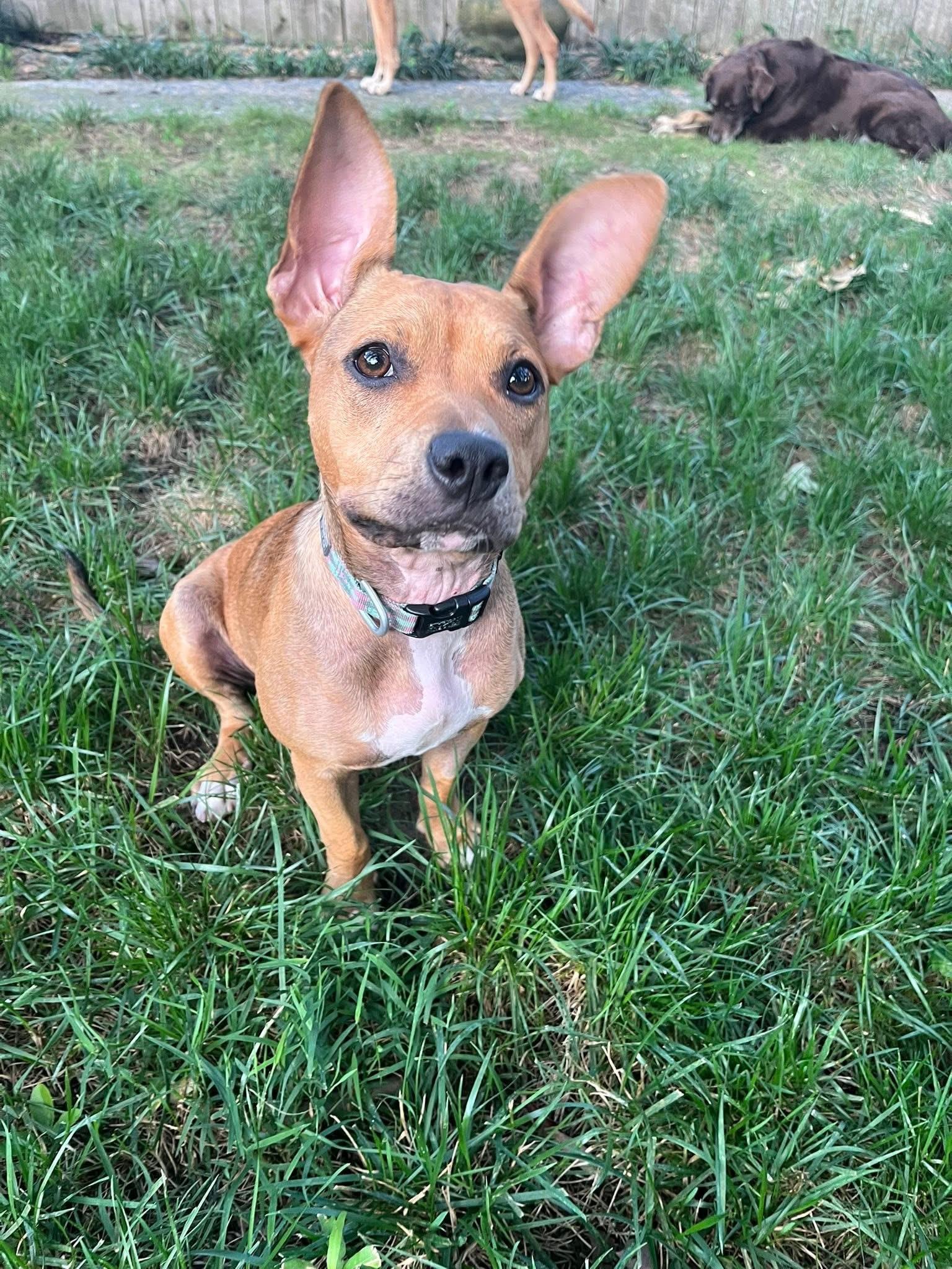 Esther photo 4