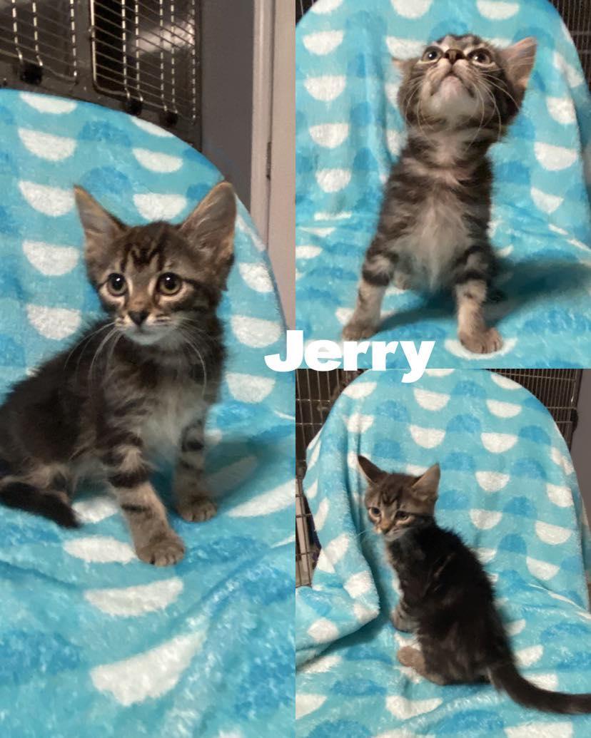 Jerry