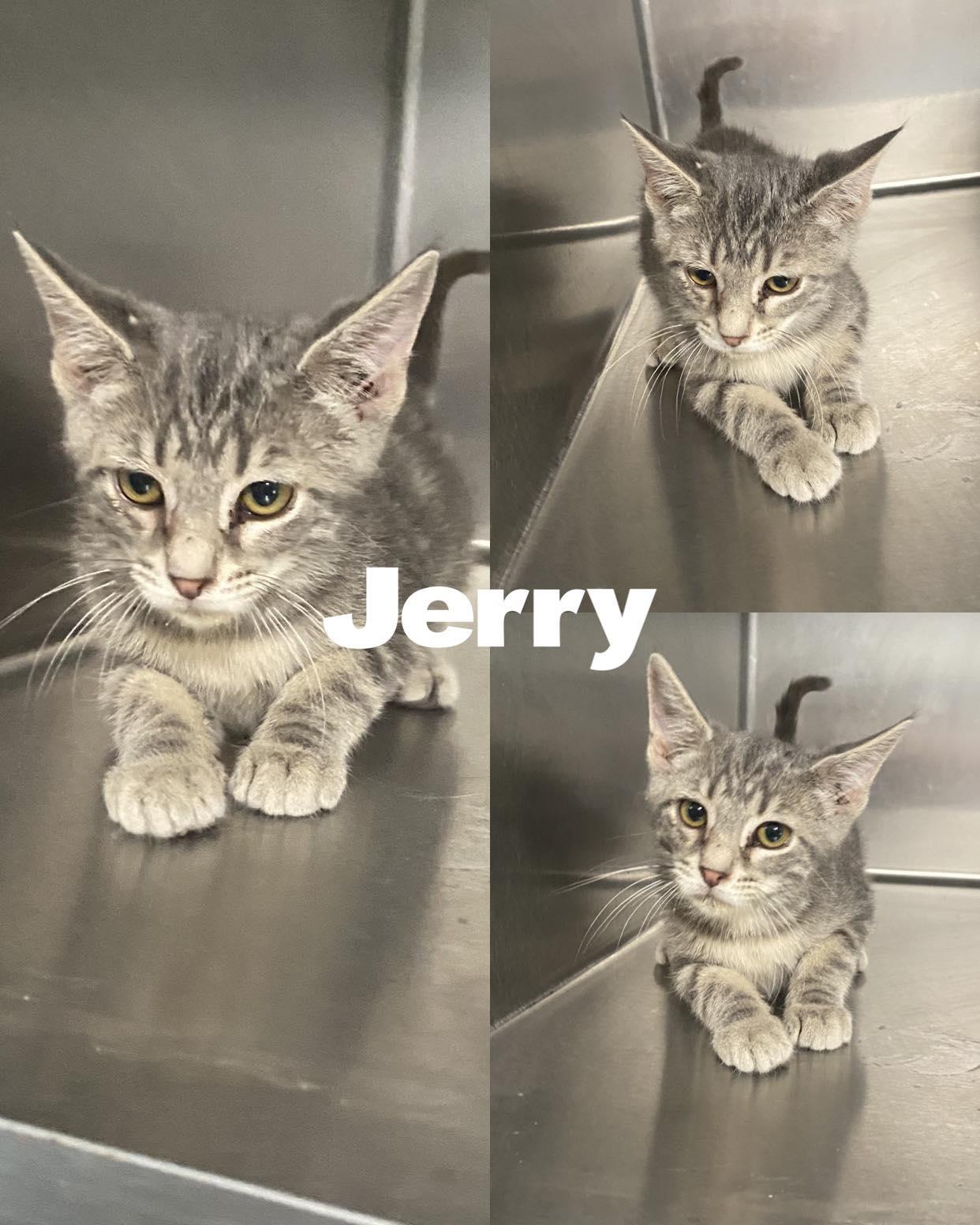 Jerry
