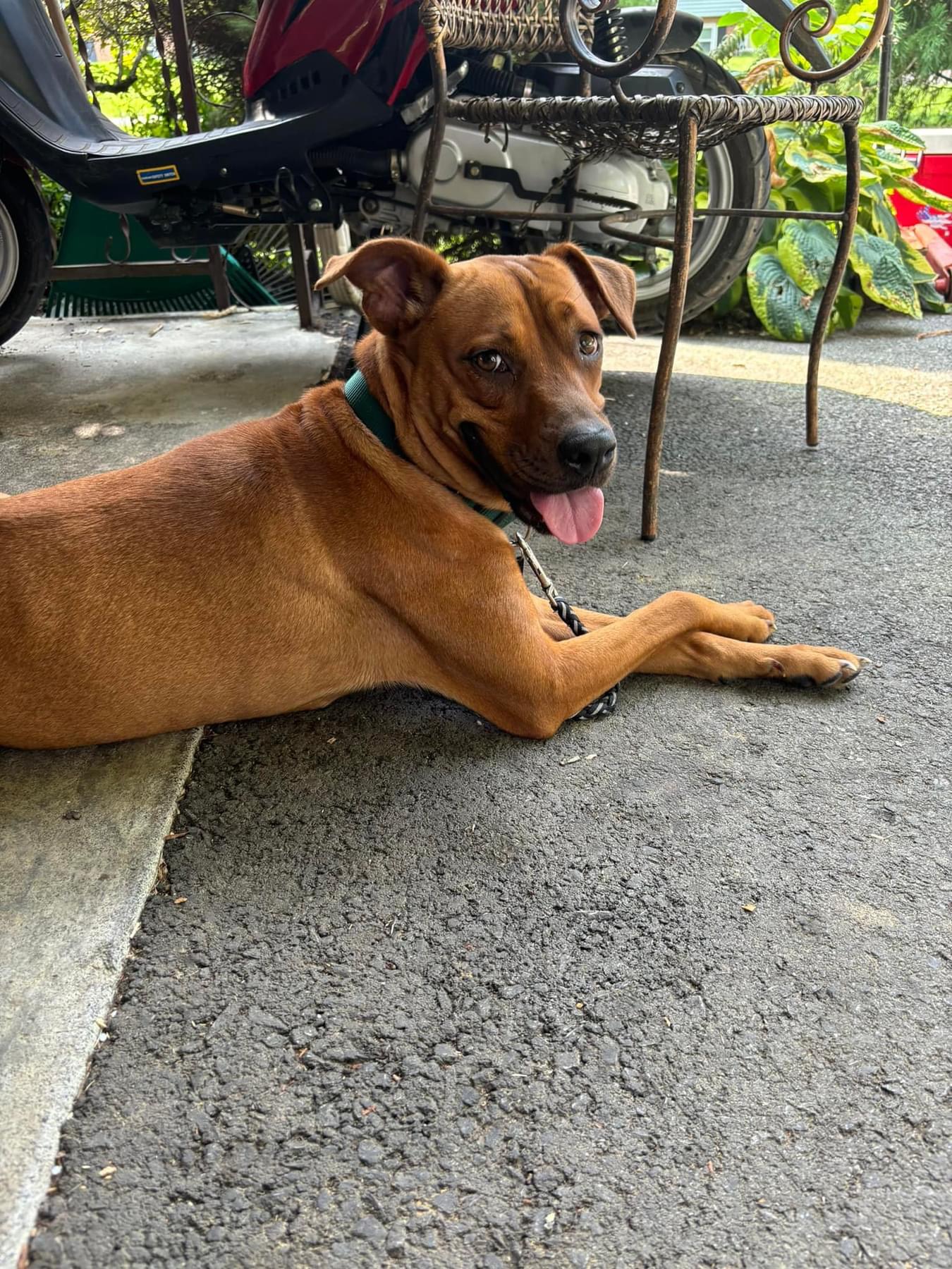 Heather, Adopted, Young Female .