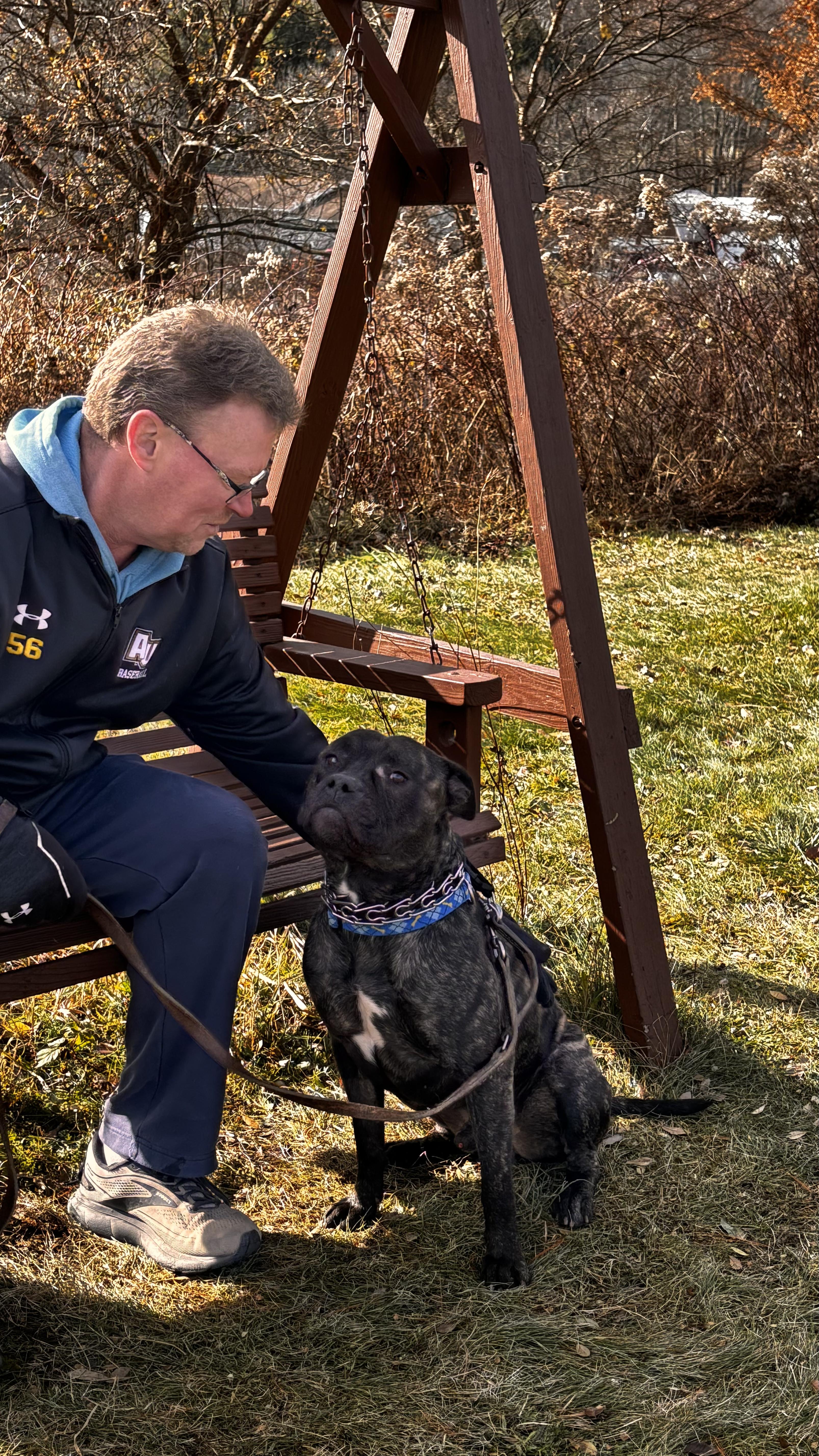 Enlarge Tyson, a Adoptable mixed breed in Elmira, NY image 5/6