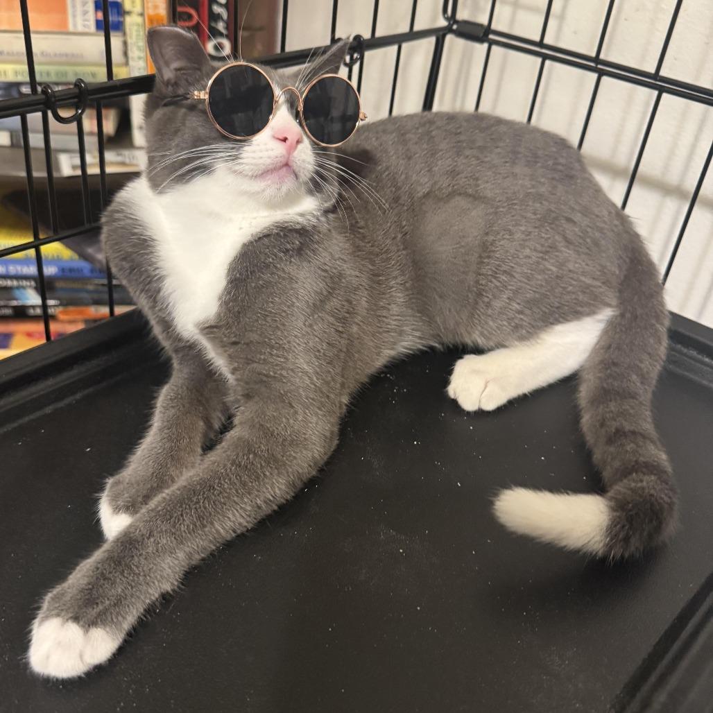 Kylie — thumbnail 2