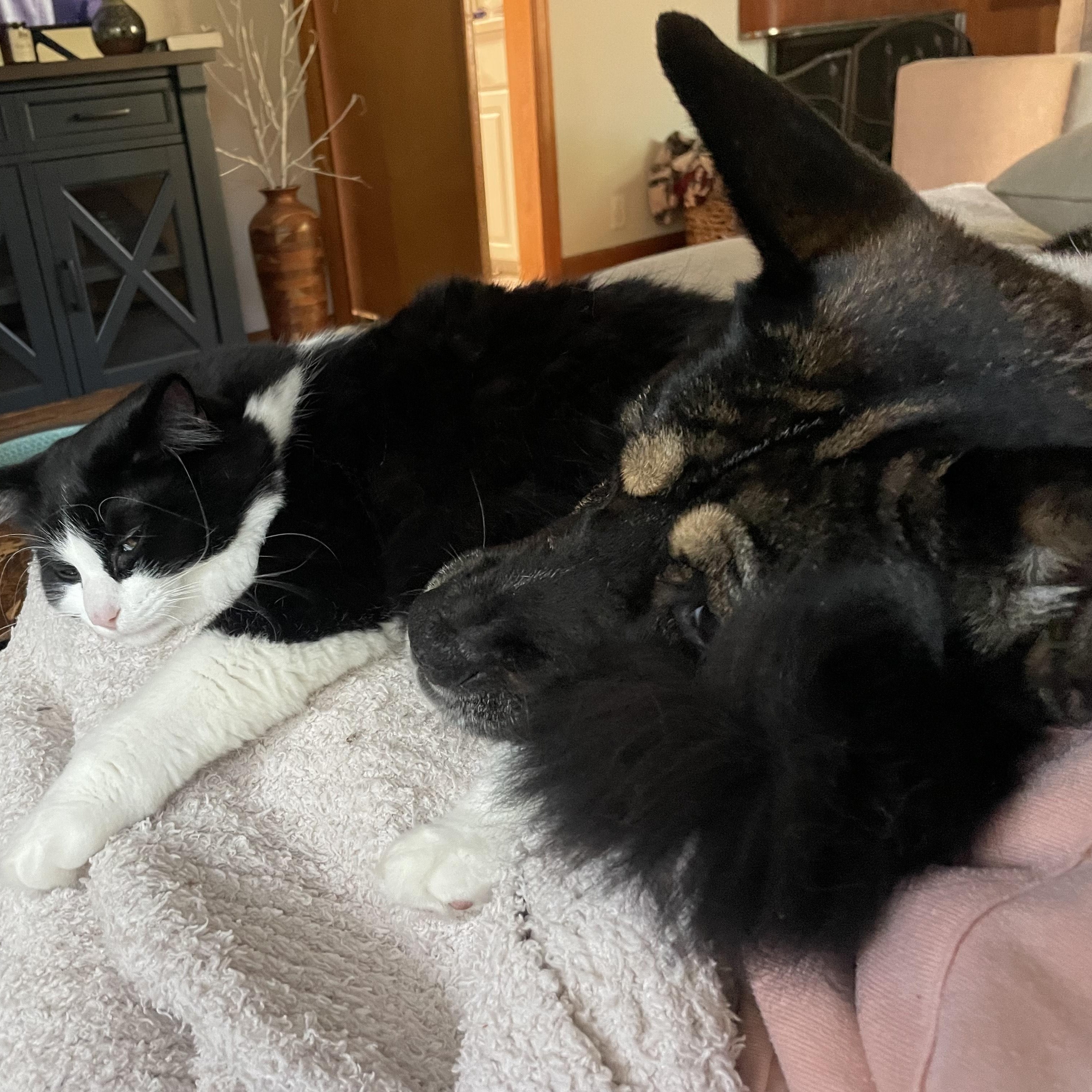 Marlie Courtesy Listing thumbnail 5