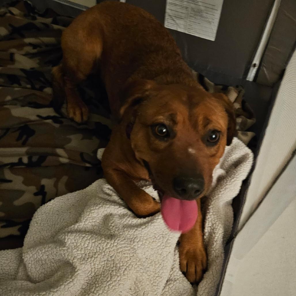 Gertrude — thumbnail 2