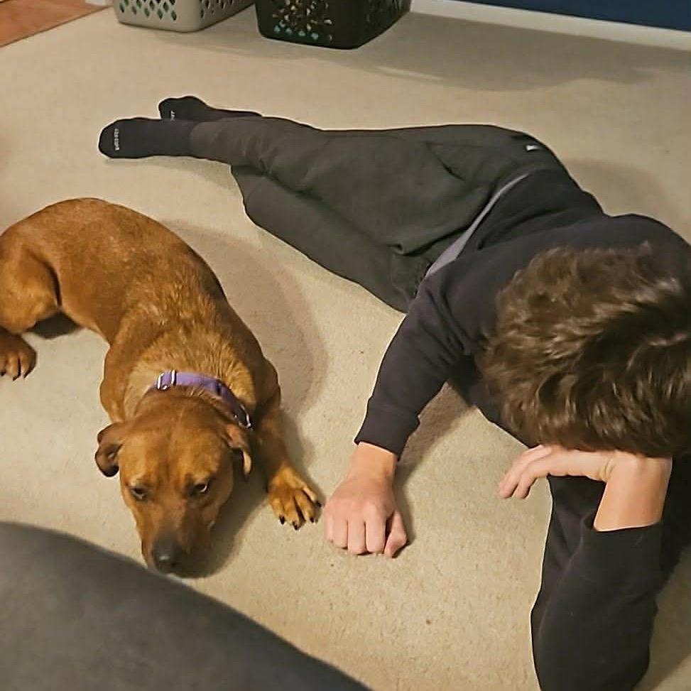 Gertrude — thumbnail 3