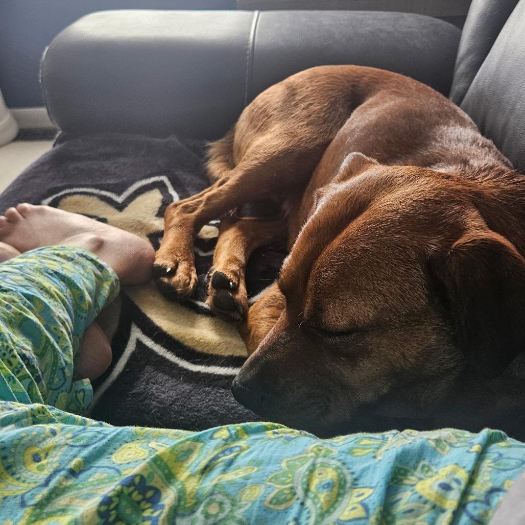 Gertrude — thumbnail 4