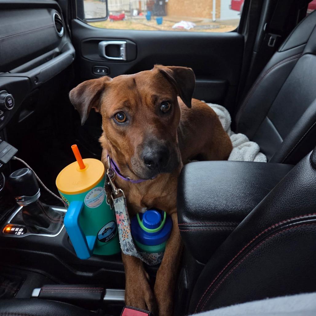 Gertrude — thumbnail 5