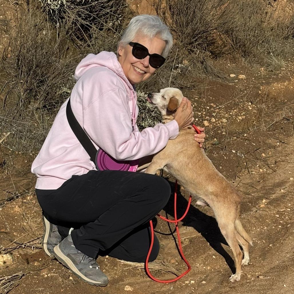 Scrappy, a Adoptable Chihuahua image 5/6