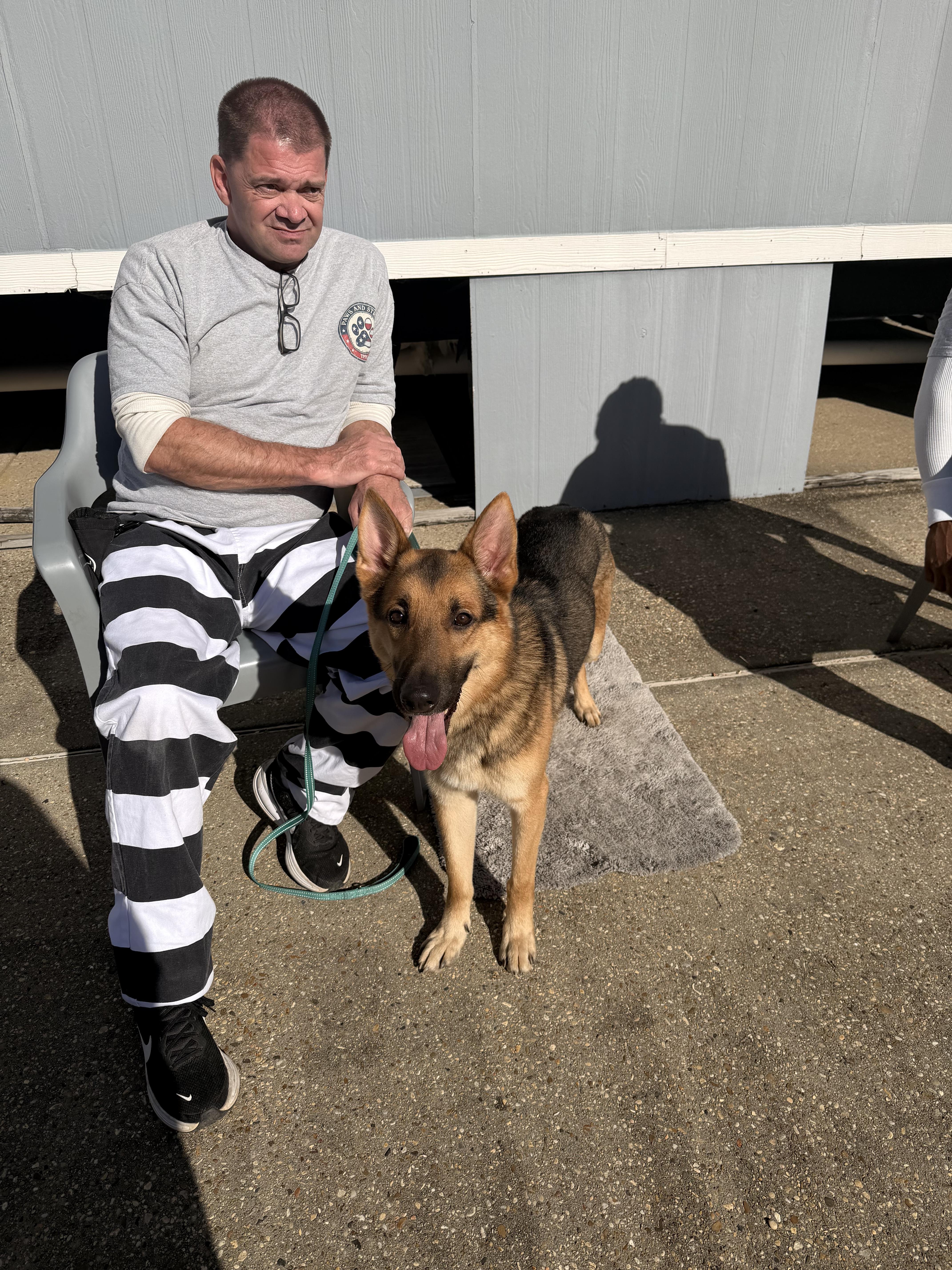 Thor, a ADOPTABLE German Shepherd Dog in South Amboy, NJ image 1/3