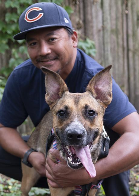 Aiko, a Adoptable mixed breed in Chicago, IL image 3/6