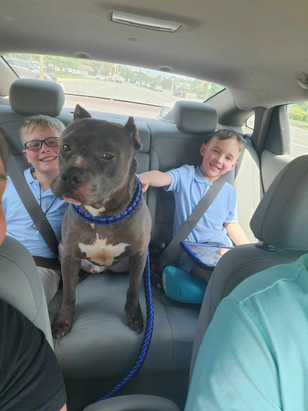 Lucas — thumbnail 3