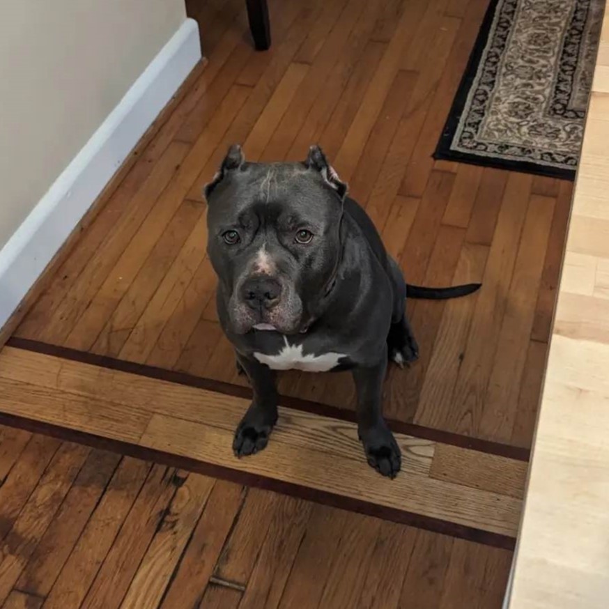 Lucas — thumbnail 5