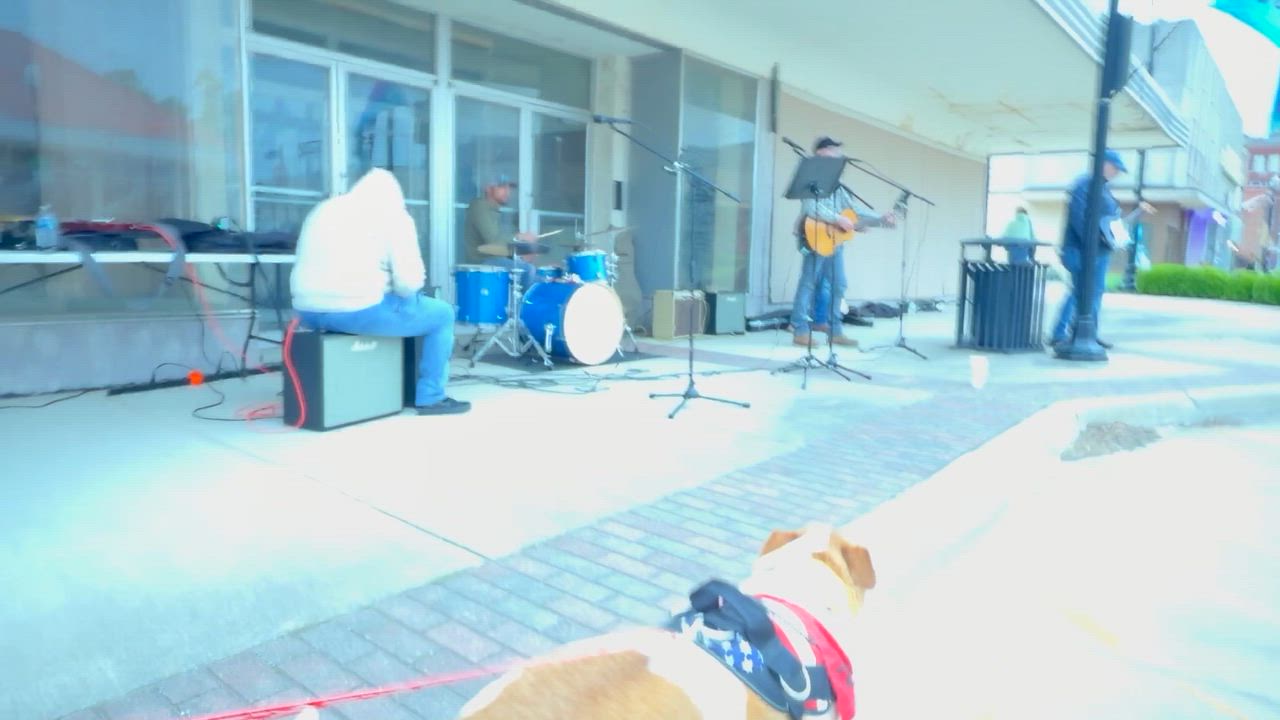 Enlarge CLARK , a ADOPTABLE mixed breed in Shawnee, OK video 5/6