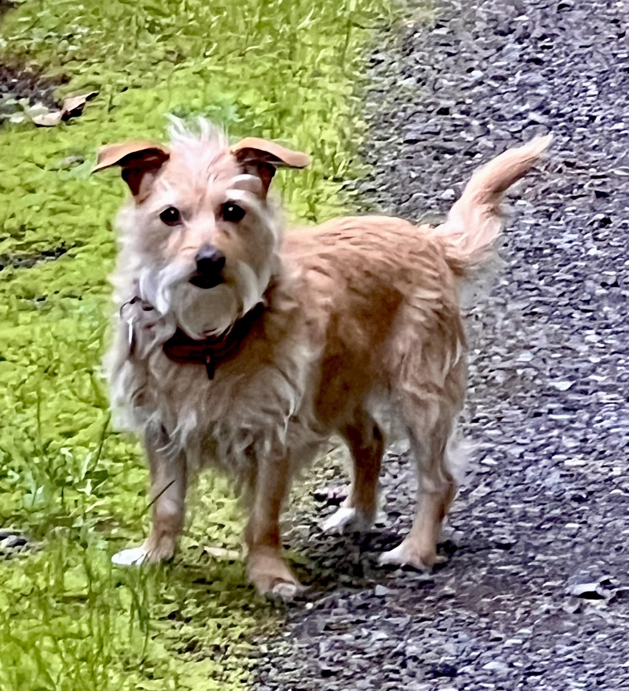 Clementine thumbnail 4