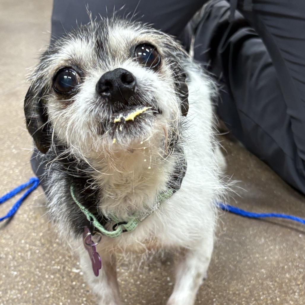 Slushy — thumbnail 2