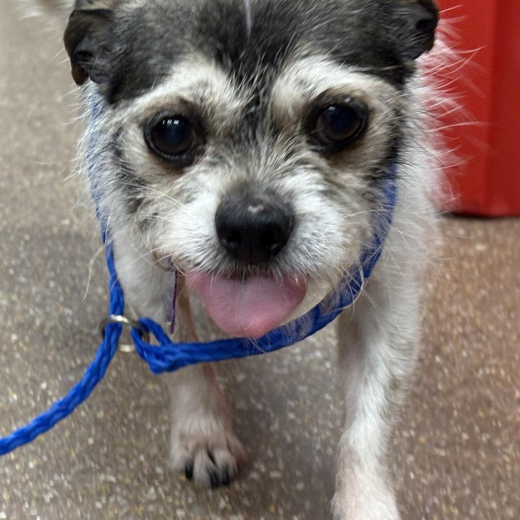 Slushy — thumbnail 3