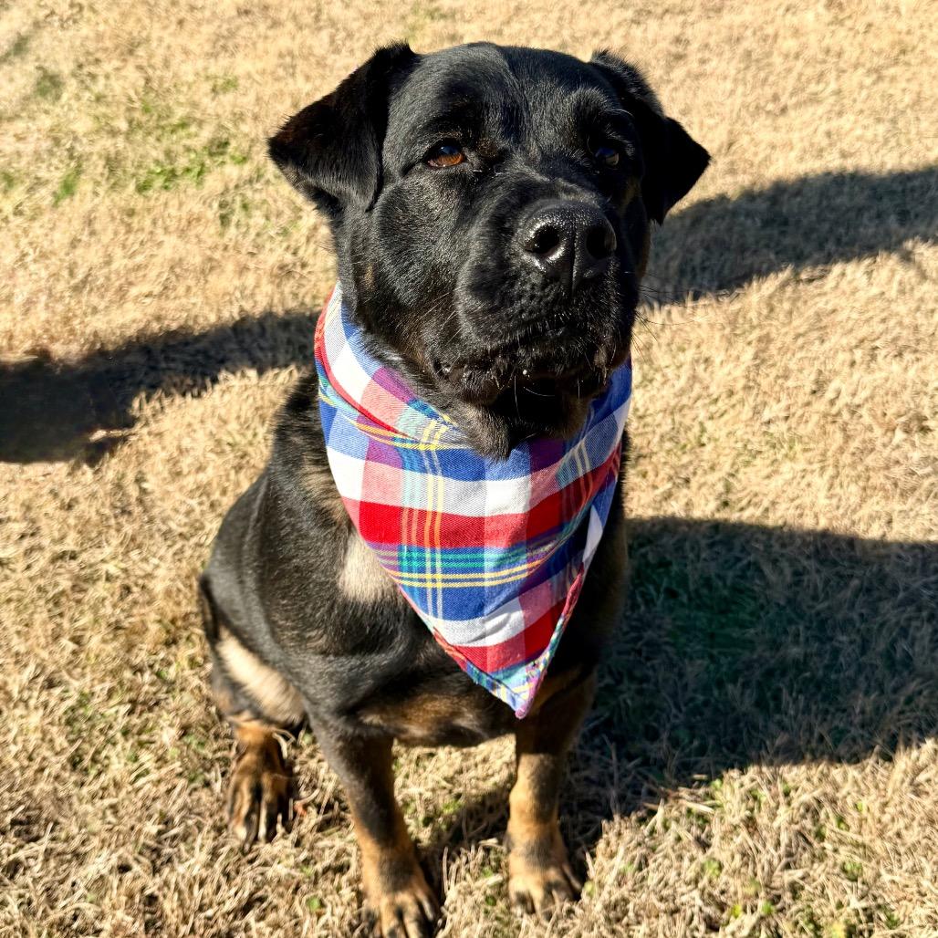 Andrew — thumbnail 3