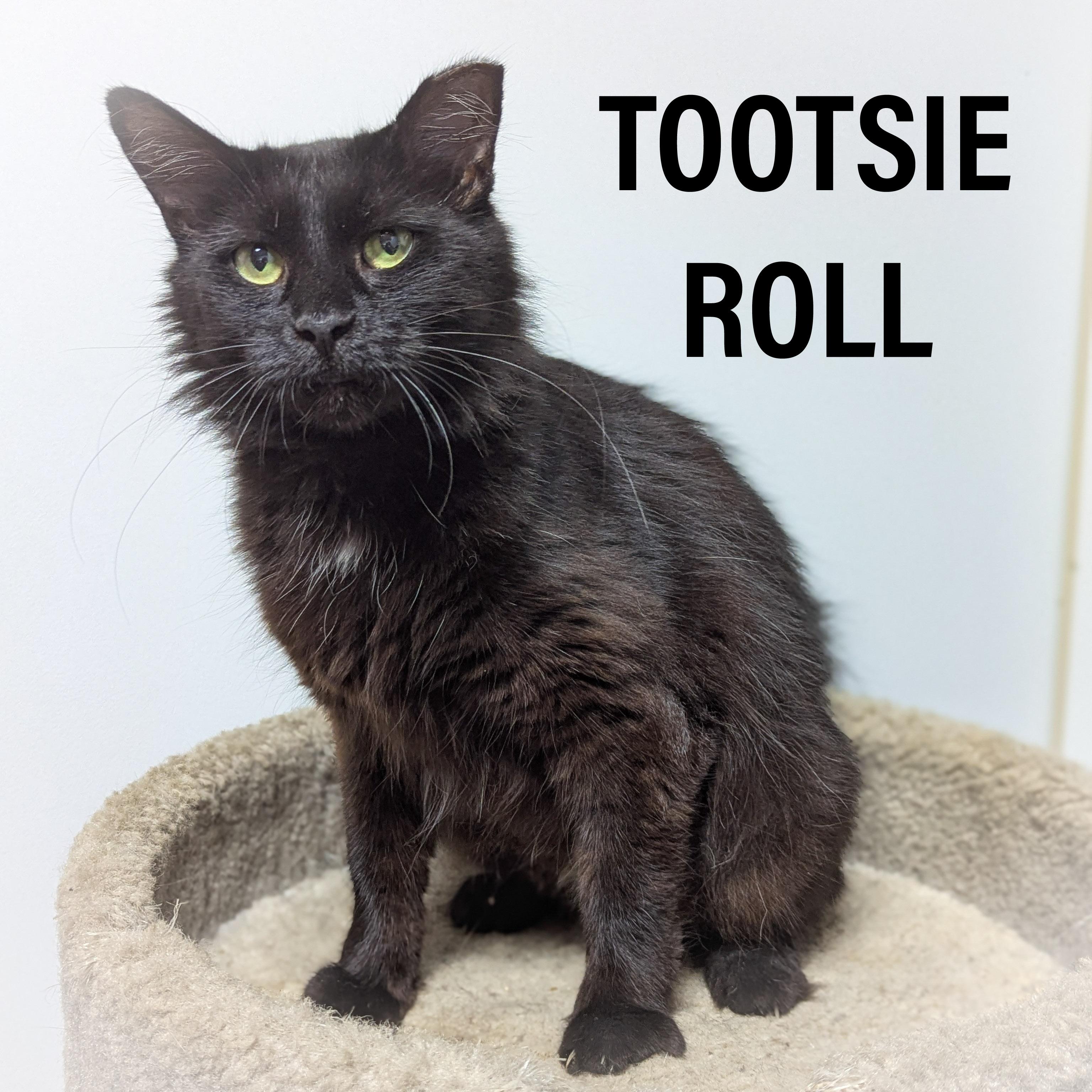TOOTSIE ROLL