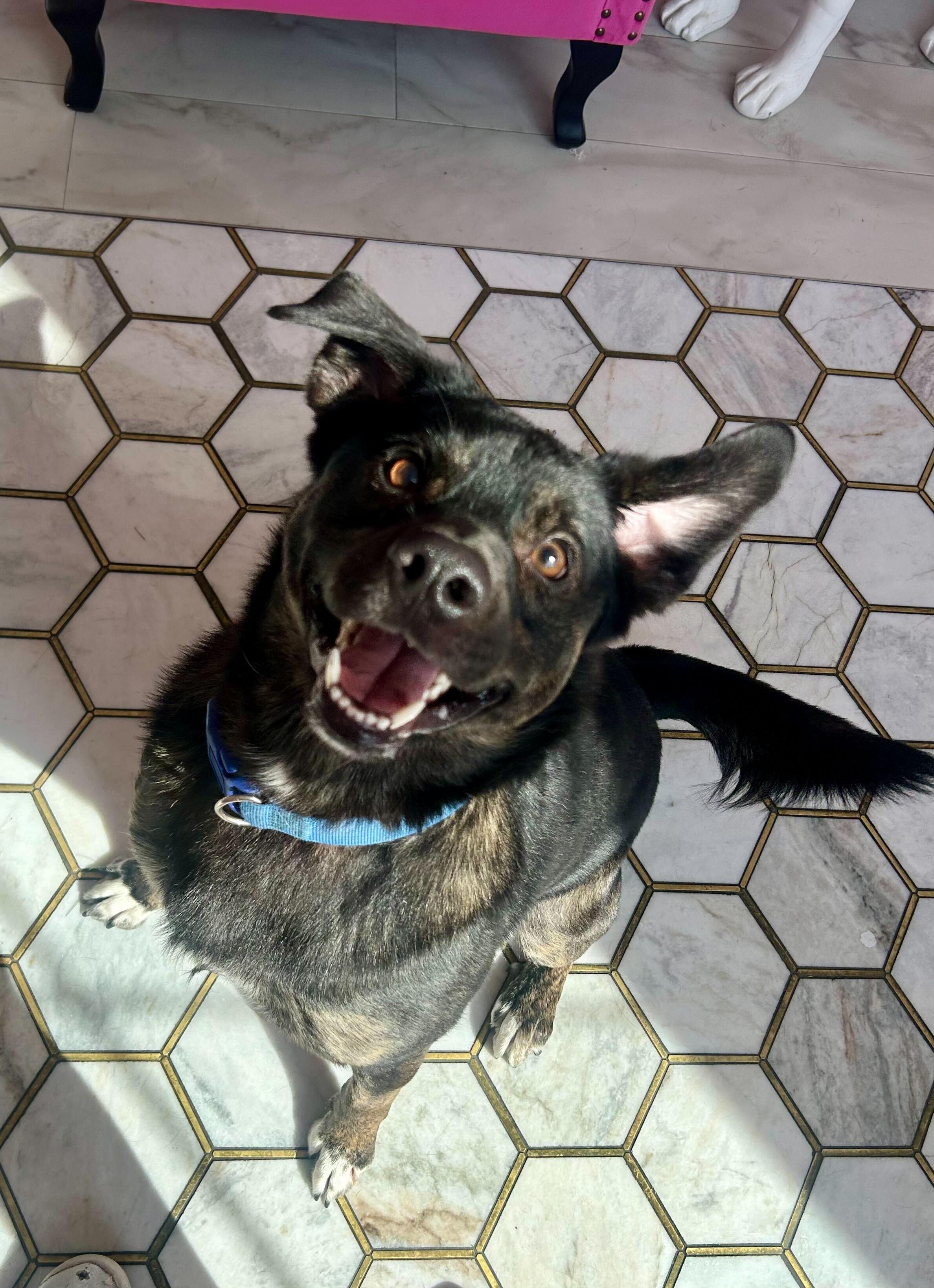 Gumbo