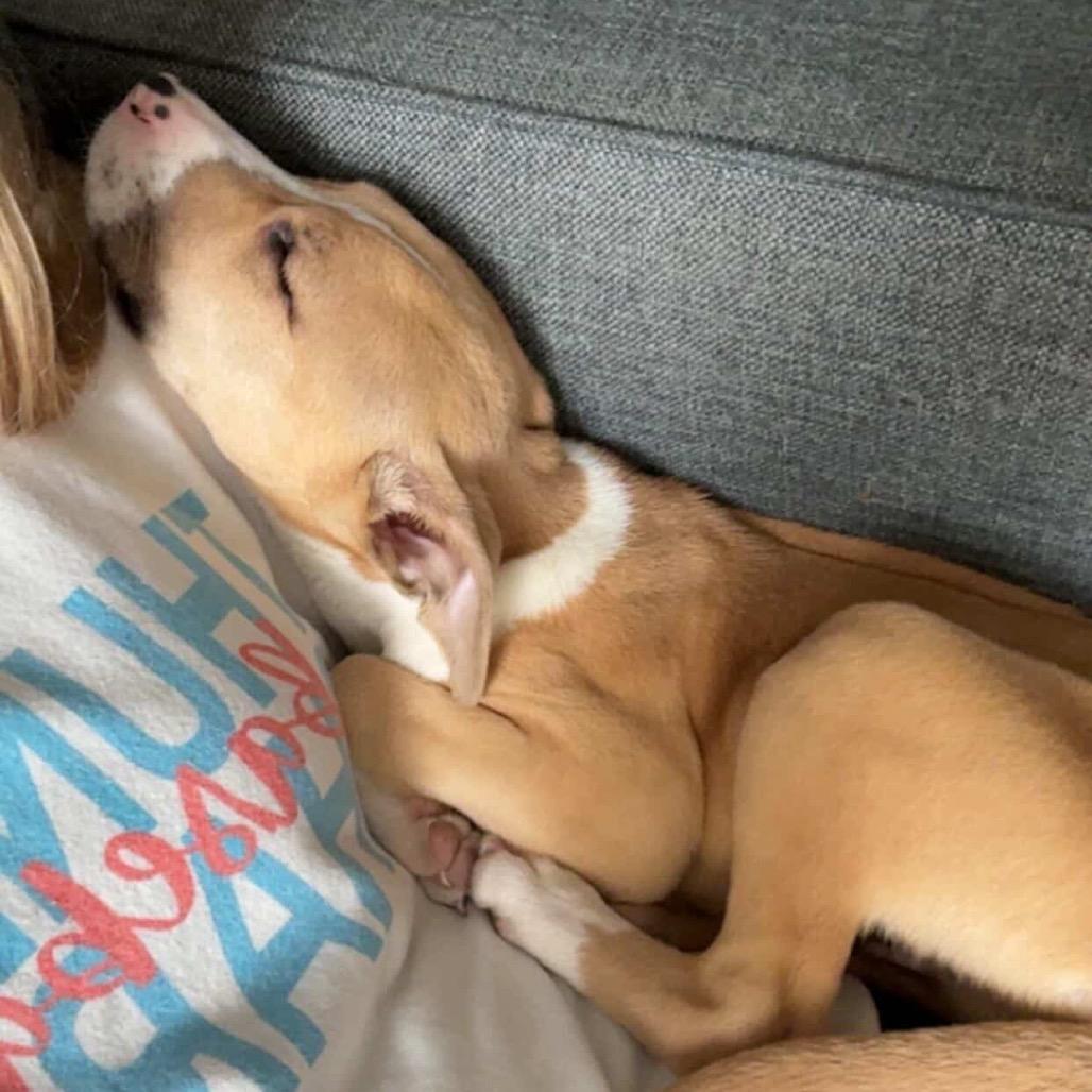 Masala — thumbnail 6